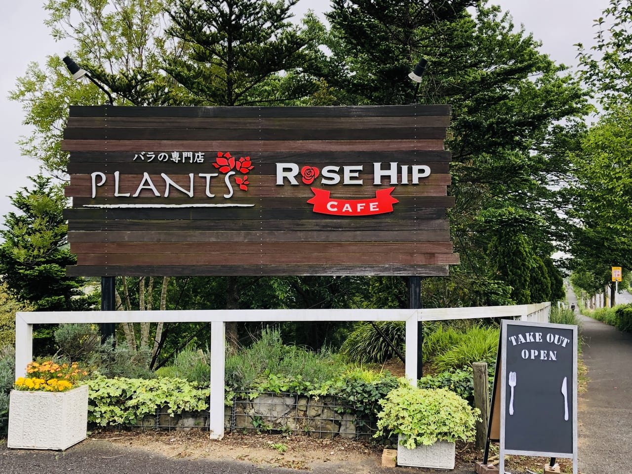 plants-rosehipcafe