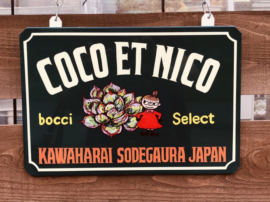 cocoetnico