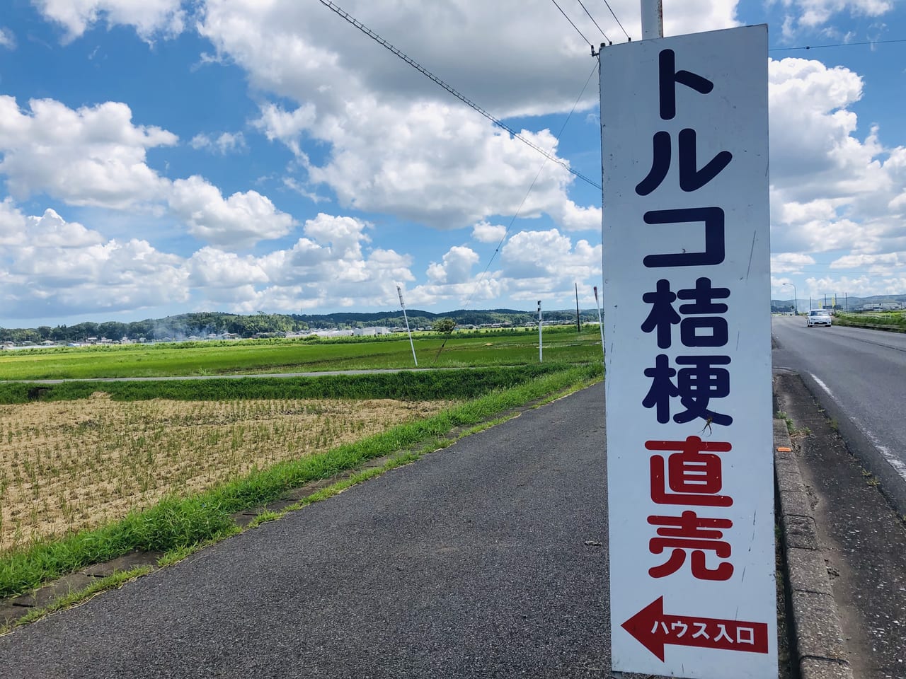 farm-takahashi