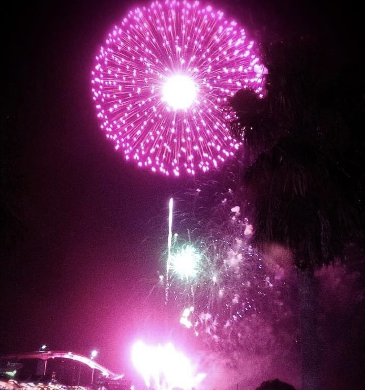 fuyuhanabi