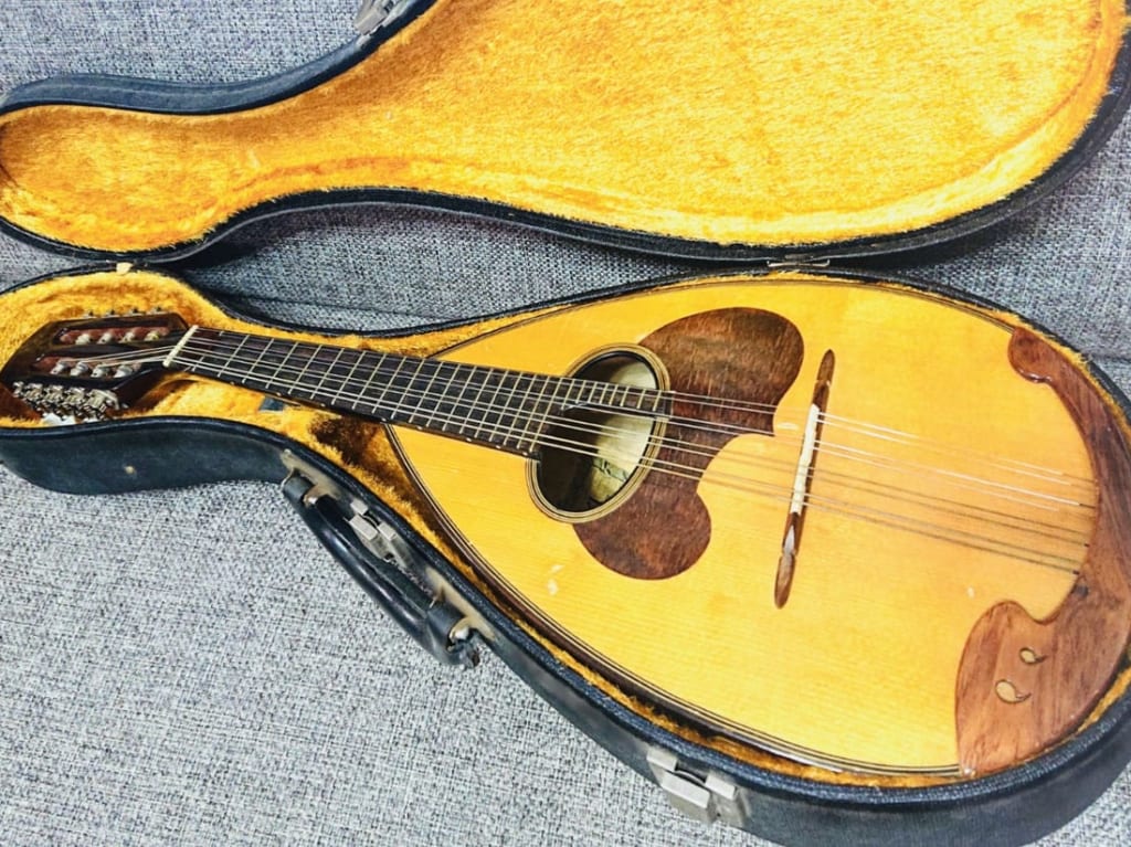 mandolin