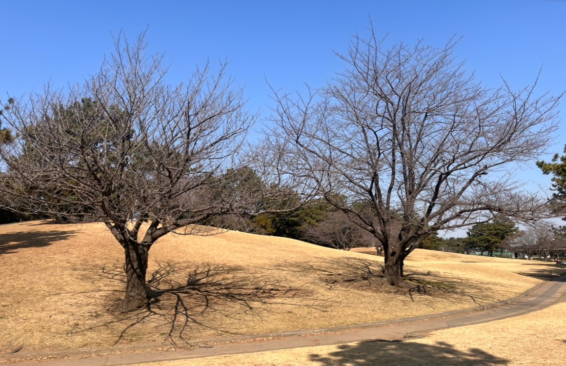 潮浜公園