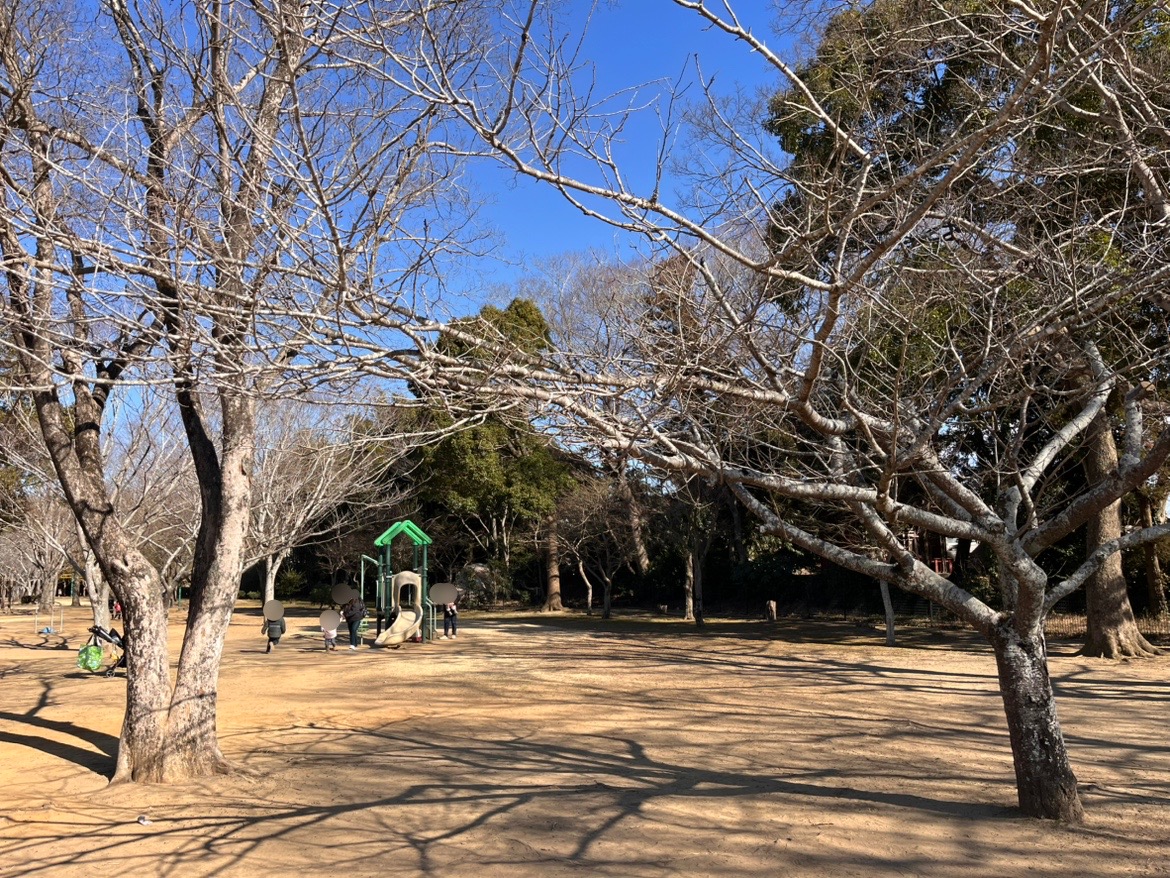 百目木公園案内図