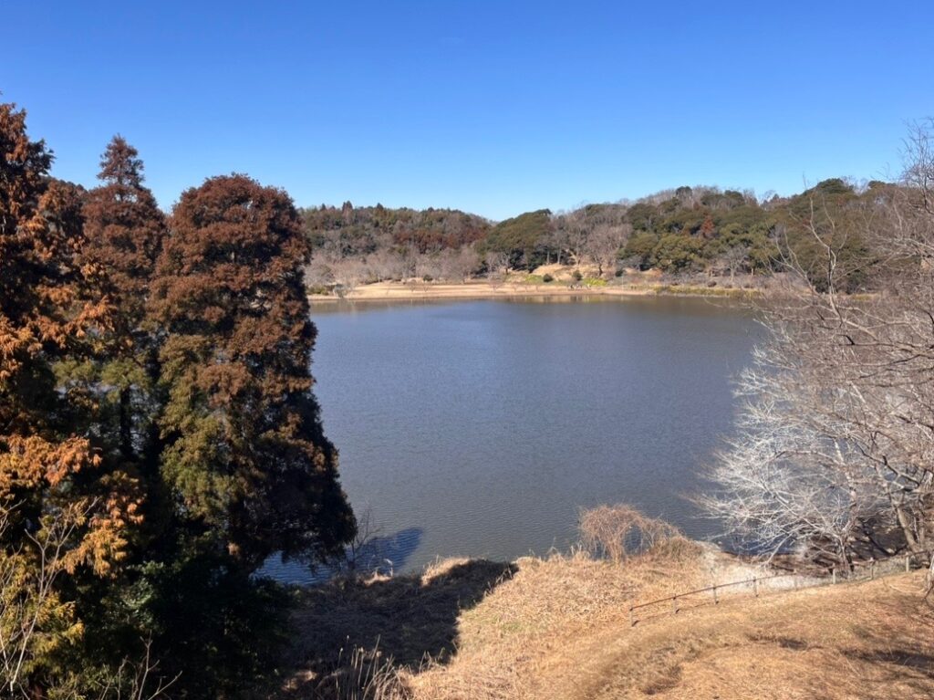 袖ケ浦公園　上池