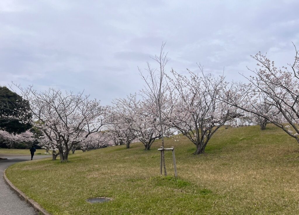 市民ふれあい公園