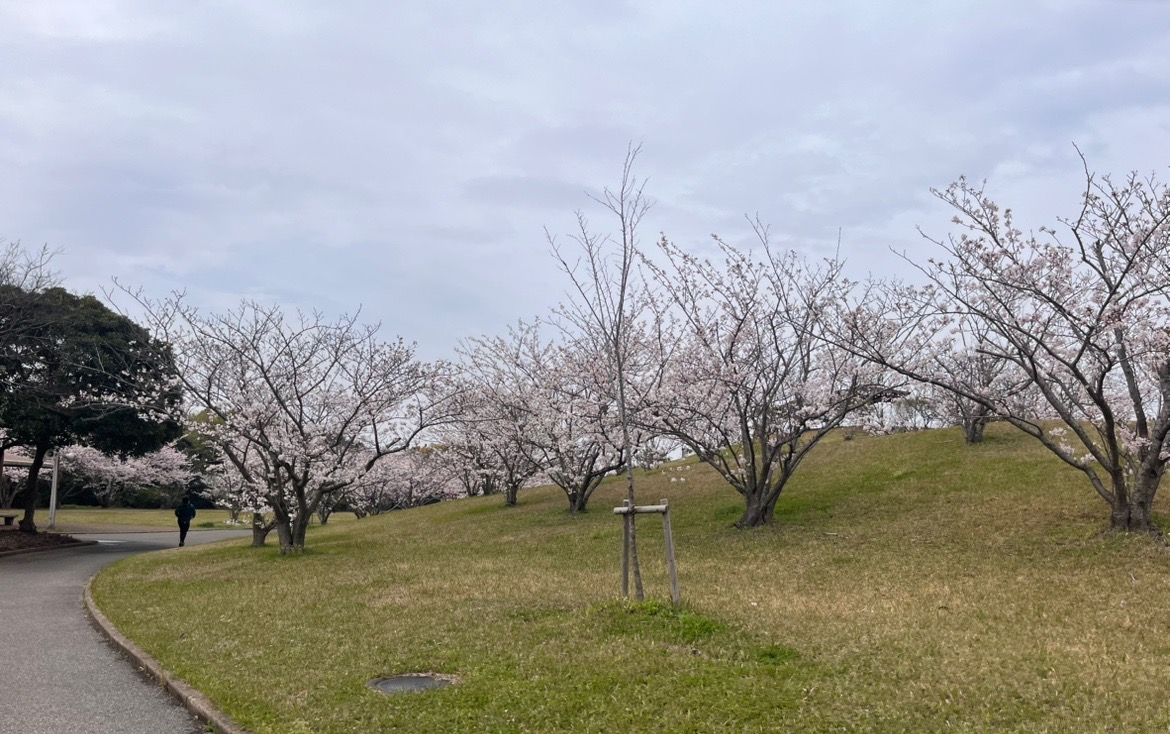 市民ふれあい公園