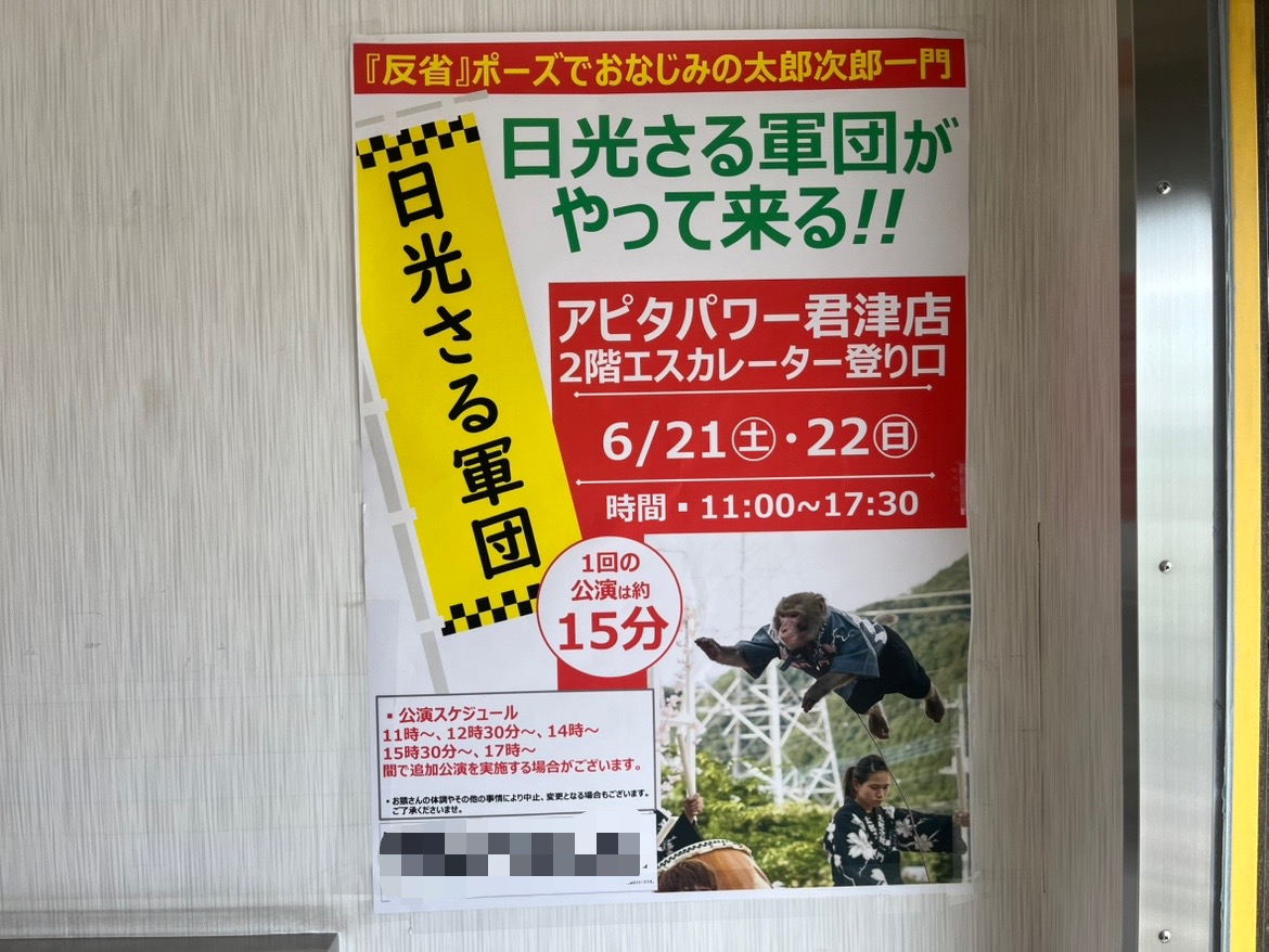 アピタパワー君津店に、「日光さる軍団」がやってきます