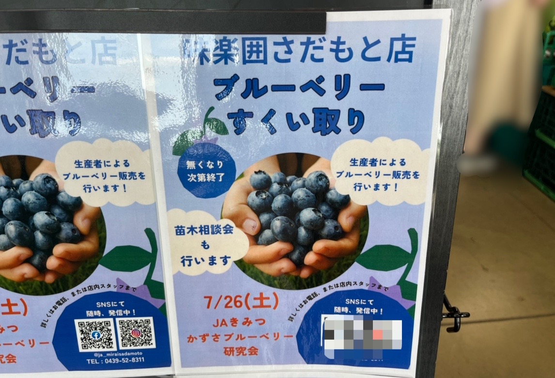 ブルーベリーのイベントが開催